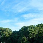 【2024年10月】新規会員加入のお知らせ